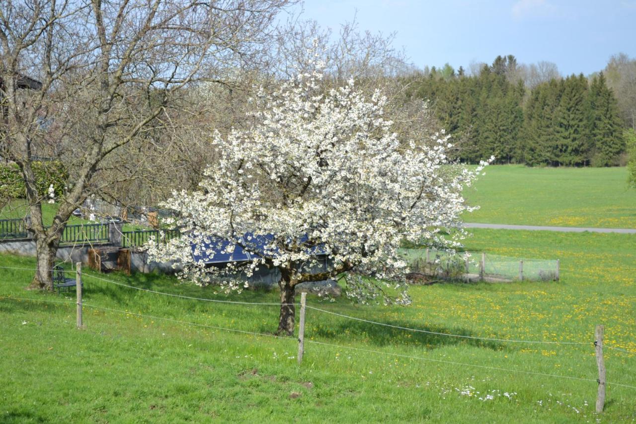 Apartament Biohof Auinger, Der Tiererlebnishof Aurach am Hongar Zewnętrze zdjęcie
