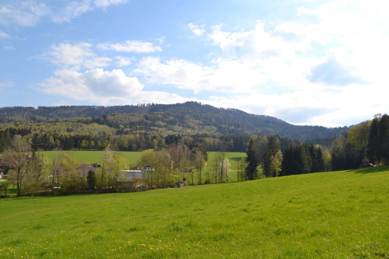 Apartament Biohof Auinger, Der Tiererlebnishof Aurach am Hongar Zewnętrze zdjęcie