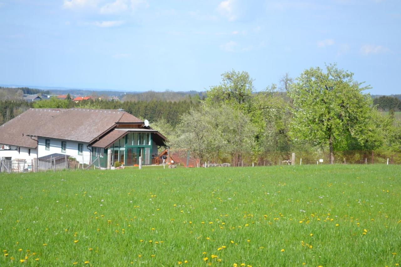 Apartament Biohof Auinger, Der Tiererlebnishof Aurach am Hongar Zewnętrze zdjęcie