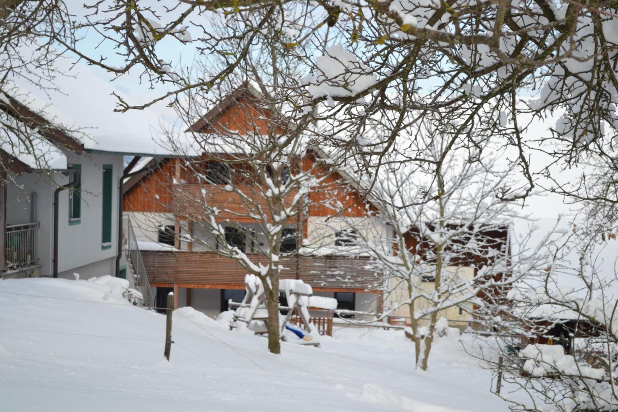 Apartament Biohof Auinger, Der Tiererlebnishof Aurach am Hongar Zewnętrze zdjęcie